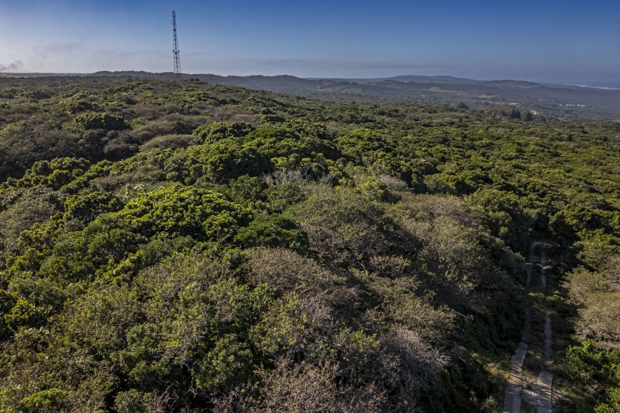 1 Bedroom Property for Sale in Seaview Eastern Cape